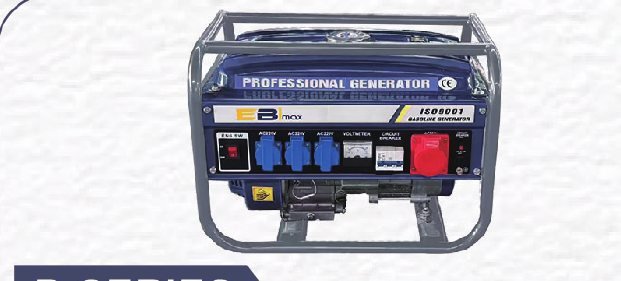 Gasoline Generator (P-Series)