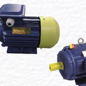 Electric Motor (Y&Y2 Type)