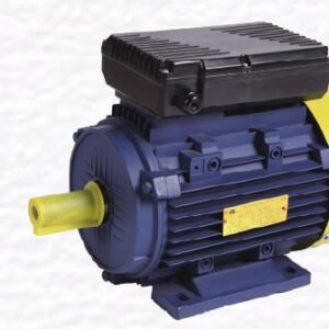 Electric Motor (YC&YL)