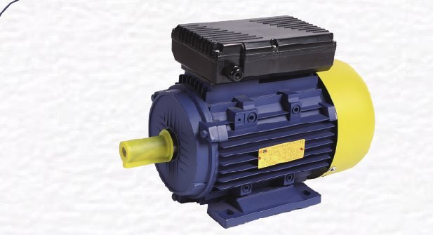 Electric Motor (YC&YL)