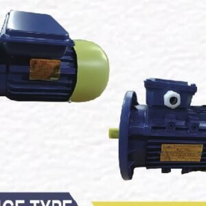 Electric Motor (Flange Type)