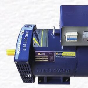 Electric Alternator